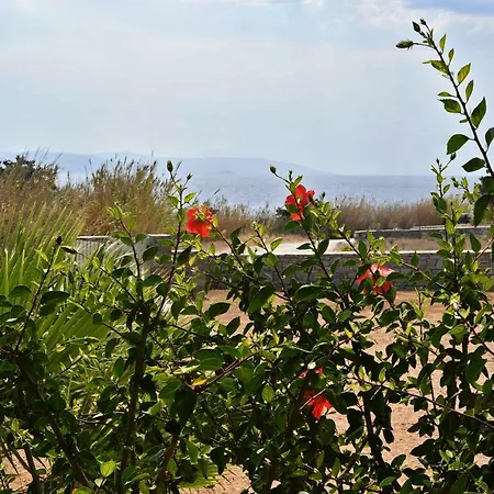 Amazing Sea View Luxury For 6 Guests אמבלאס